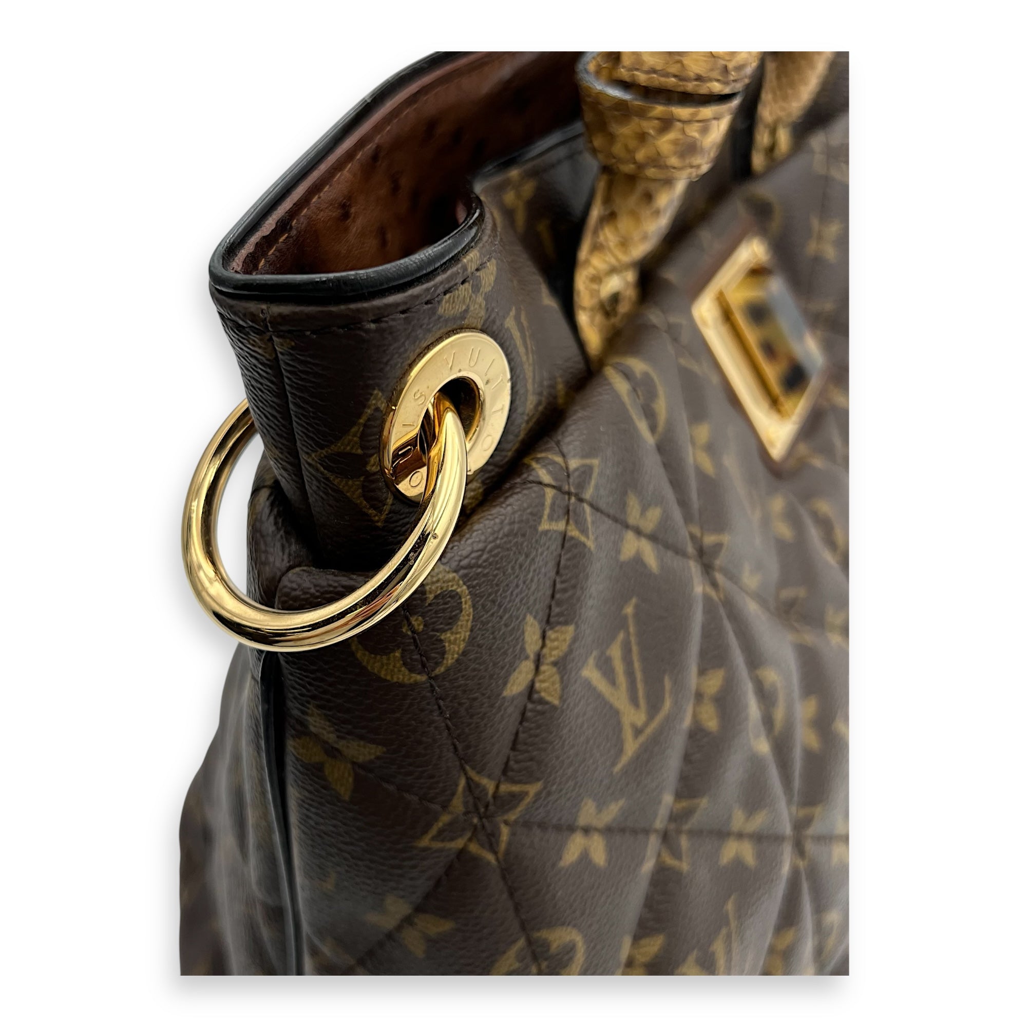 Etoile Exotique Top Handle Bag GM Brown in Monogram Coated Canvas, Gold hardware - Image 7